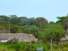 Concepcion 0007