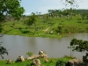 Concepcion 0061