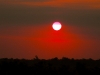 Concepcion 0158