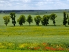 Pelplin 0362