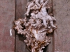 Praga 0419