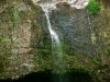 Hawai 0070