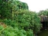 Hawai 0071