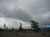 Hawai 0228