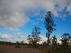 Hawai 0231