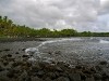 Hawai 0295