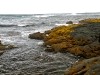 Hawai 0299