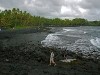 Hawai 0308