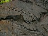 Hawai 0318
