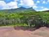 Terres de Couleurs 0095