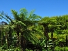 Bois Cheri 0844