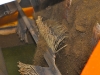 Bois Cheri 0870