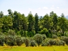 Bois Cheri 0905