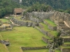 Machu Picchu 0691