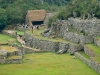 Machu Picchu 0694