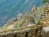 Machu Picchu 0728