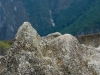 Machu Picchu 0770