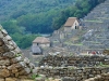 Machu Picchu 0798