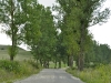 Viscri 0504