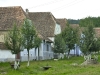 Viscri 0512