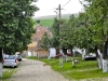 Viscri 0519