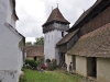 Viscri 0539
