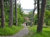 Viscri 0565