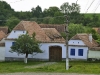 Viscri 0577