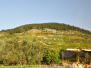 Izrael – Góra Tabor