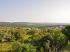 Tabor 0003
