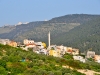 Tabor 0005