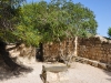 Tabor 0027