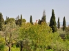 Tabor 0045