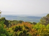 Tabor 0046