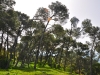 Tabor 0054