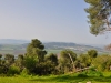 Tabor 0055
