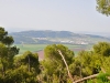 Tabor 0056