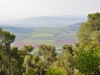 Tabor 0057