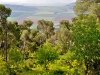 Tabor 0058