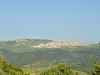 Tabor 0063