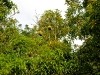 Uganda 2006 0375