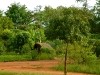 Uganda 2006 0383