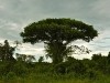 Uganda 2006 0411