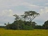 Uganda 2006 0417
