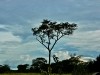 Uganda 2006 0418