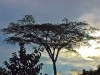 Uganda 2006 0419