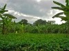 Uganda 2006 0427
