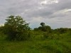 Uganda 2006 0459
