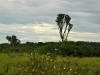 Uganda 2006 0461