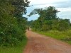 Uganda 2006 0467